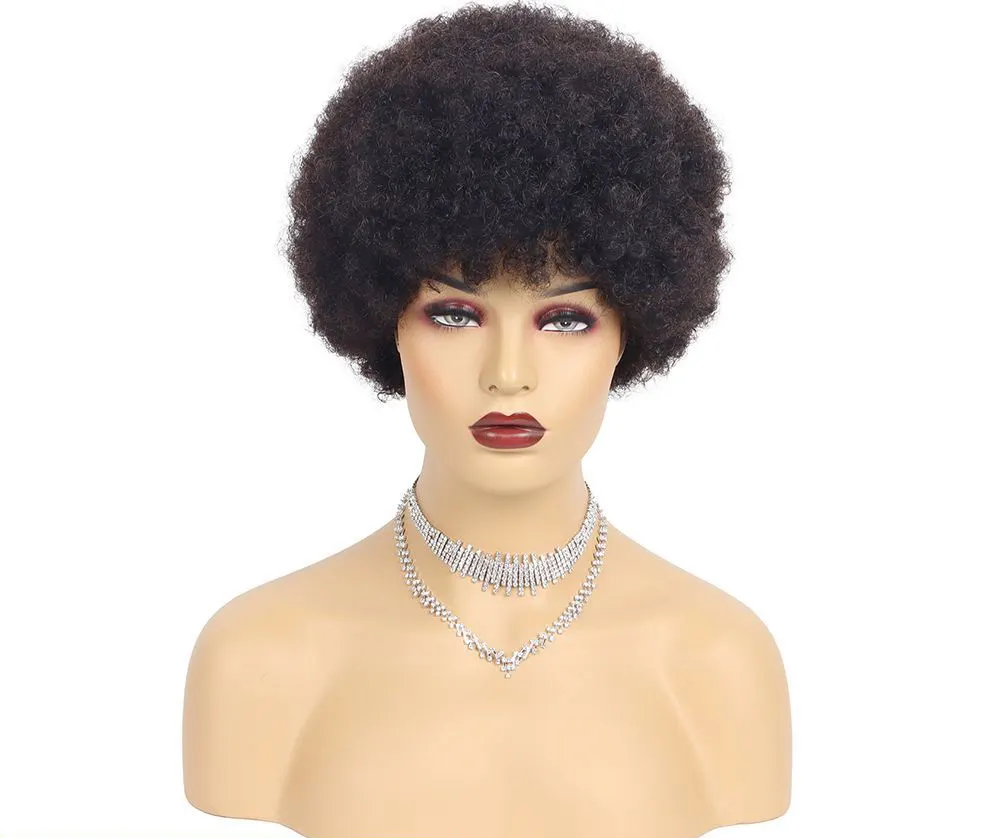 Short Afro Kinky Curly Human Hair Wig