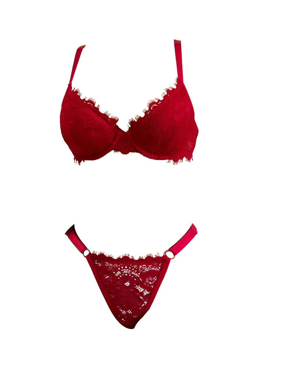 Lace Push-Up Bra and Panty Set