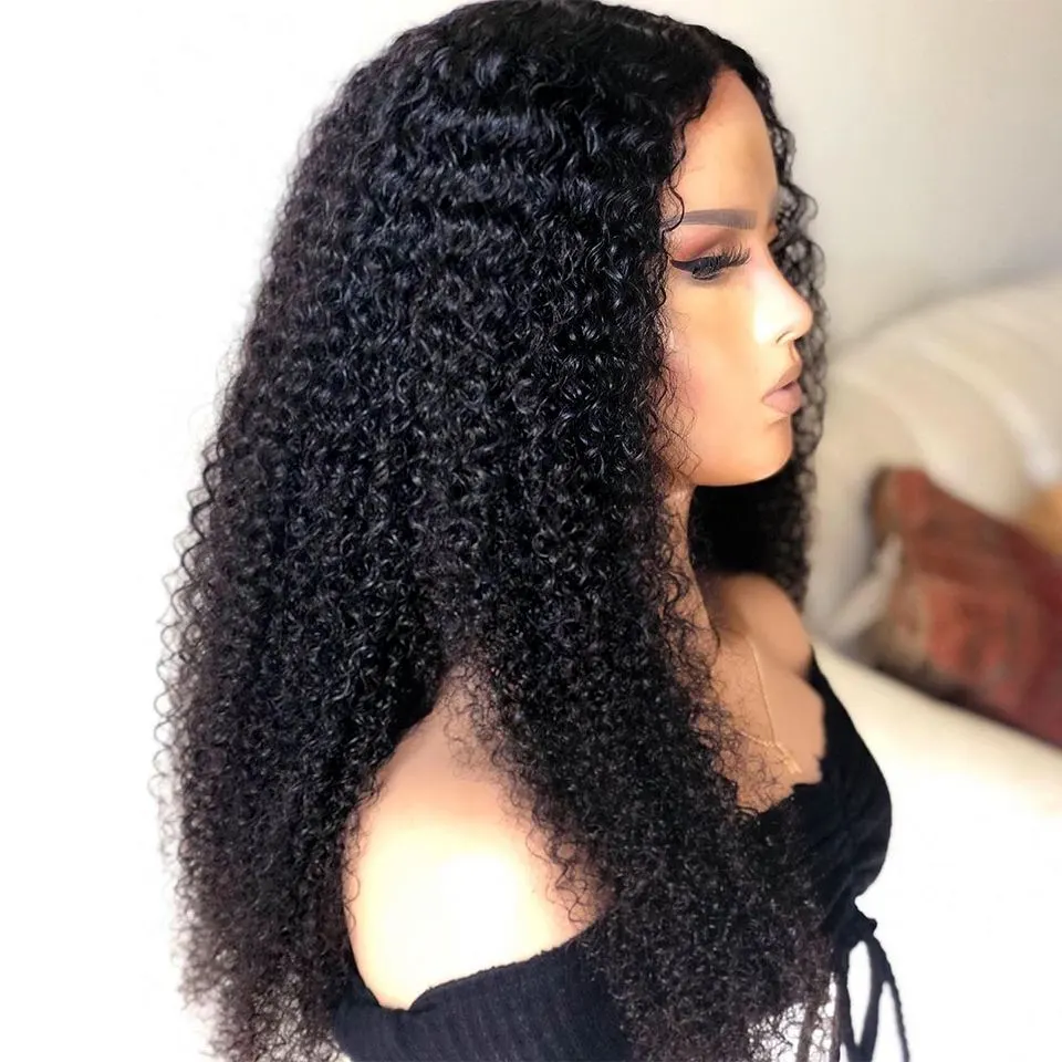 Long Kinky Curly Lace Front Wig