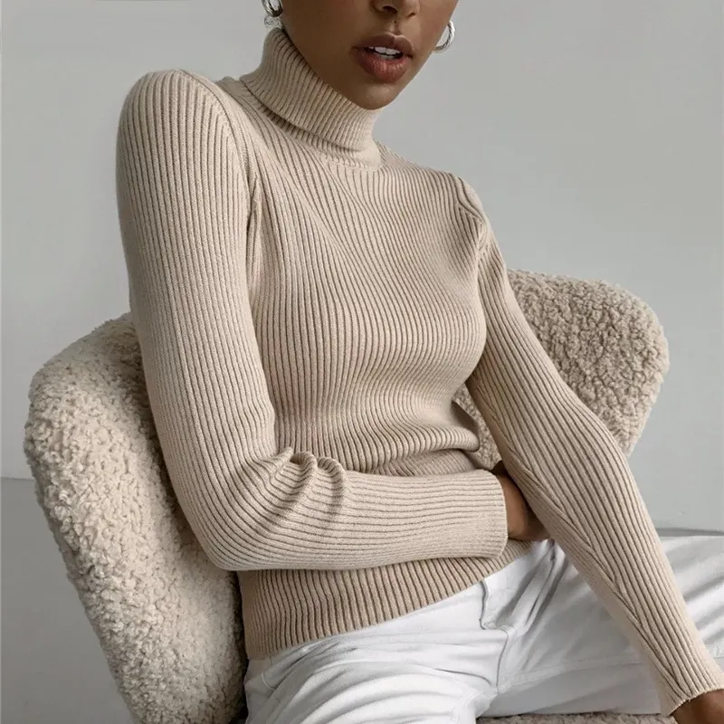 Fine-Gauge Rib Knit Turtleneck