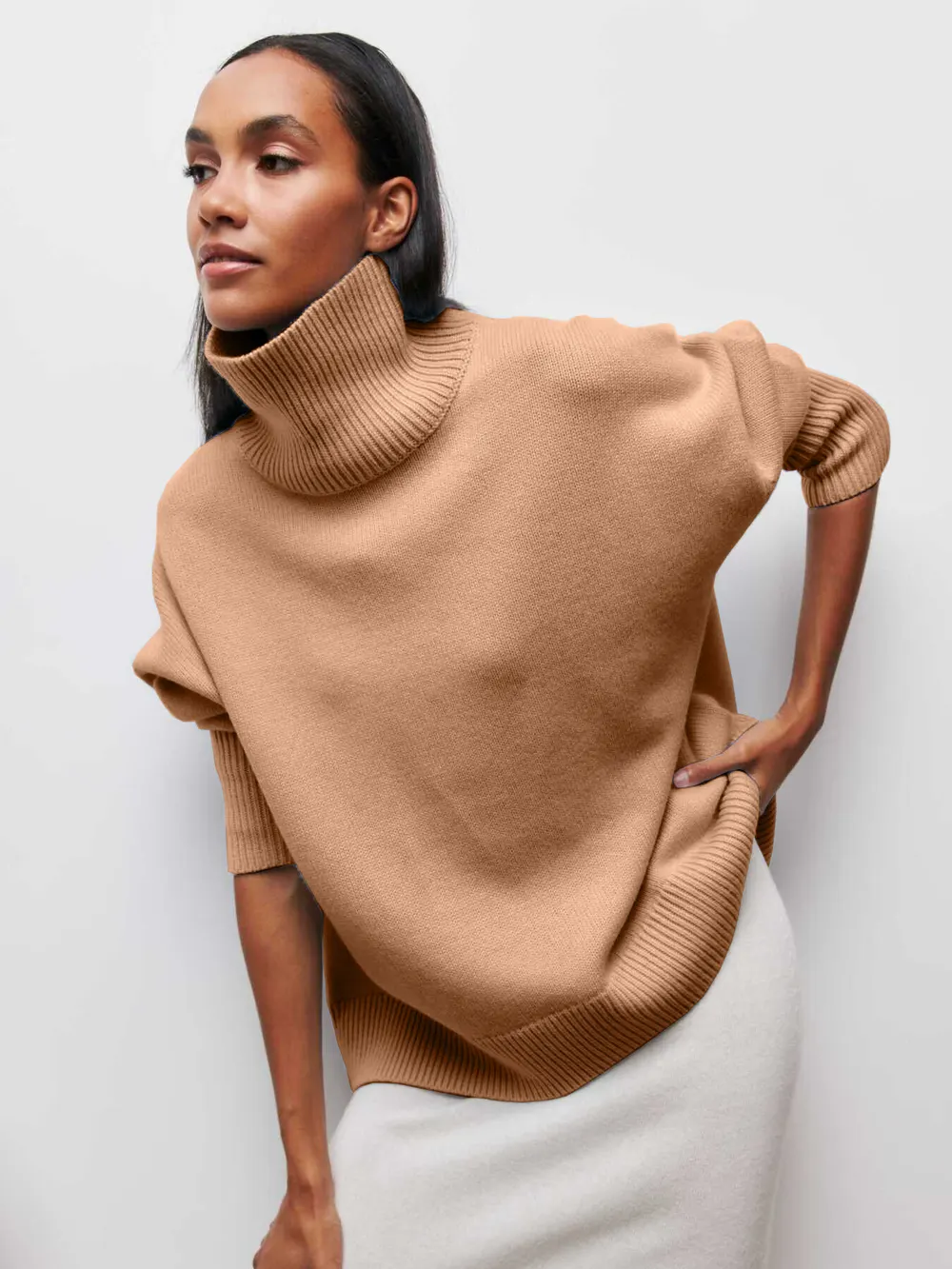 Solid Color Turtleneck Sweater