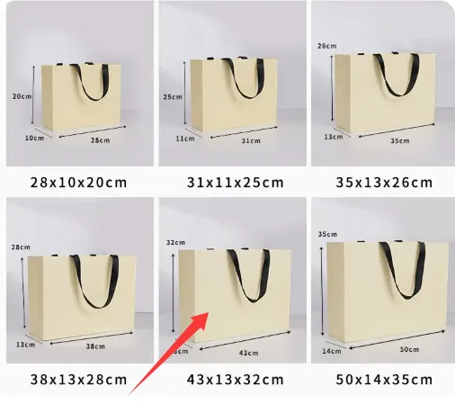 Horizontal Paper Carry Bag