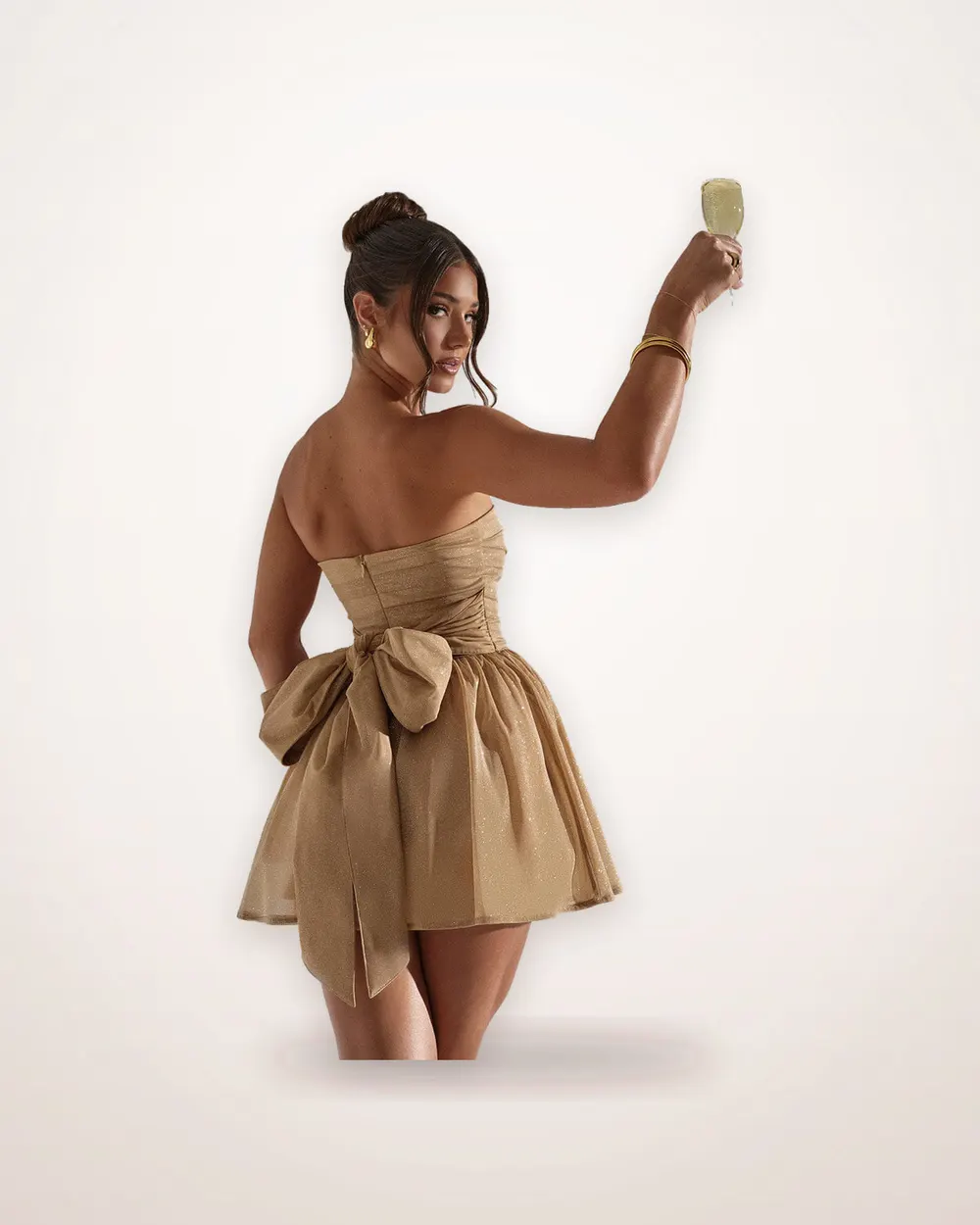 Lace Mesh Mini Dress with Back Bow