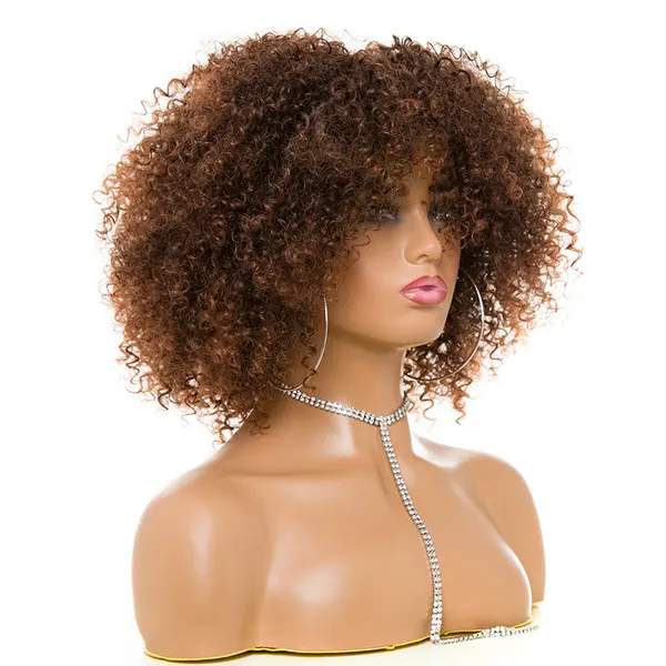 Afro Kinky Curly Synthetic Wig