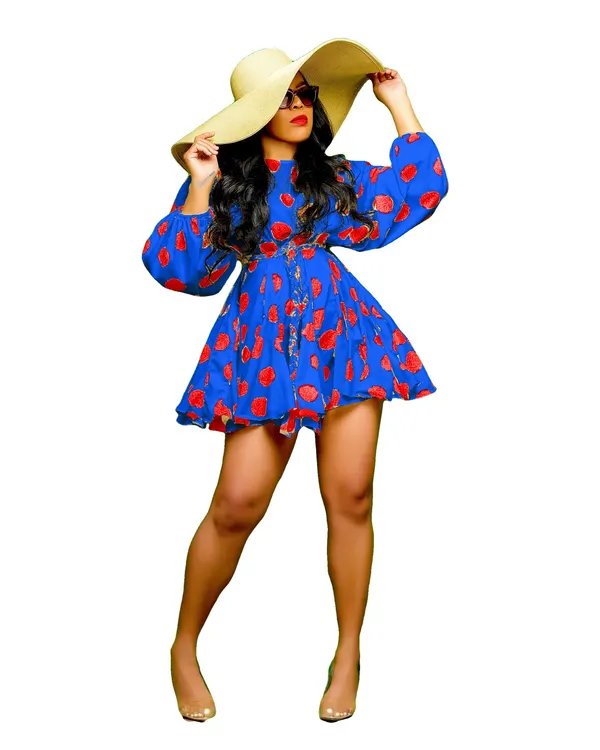 Floral Chiffon Lantern Sleeve Mini Dress