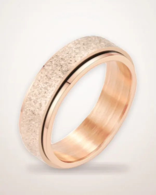 Spinner Ring in Titanium Steel