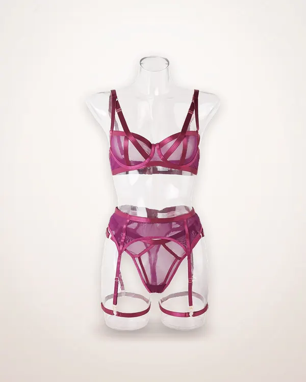 Sheer Mesh Garter Lingerie Set