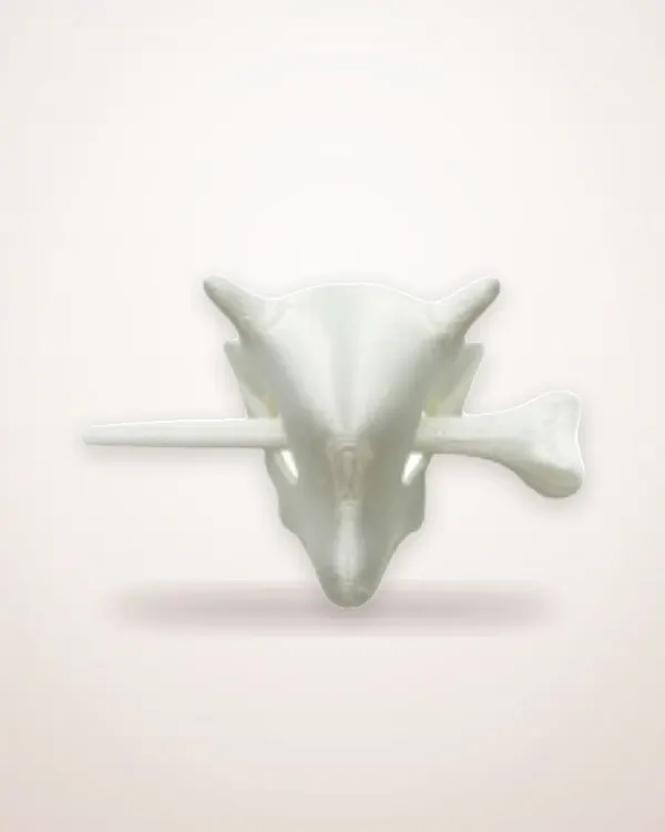 Skull and Crossbones Hair Clip