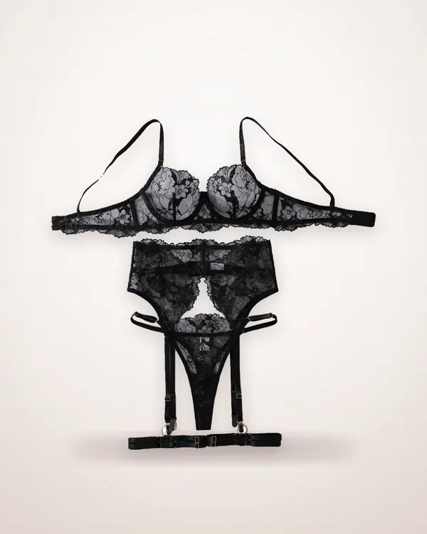 Embroidered Lace Push-Up Lingerie Set